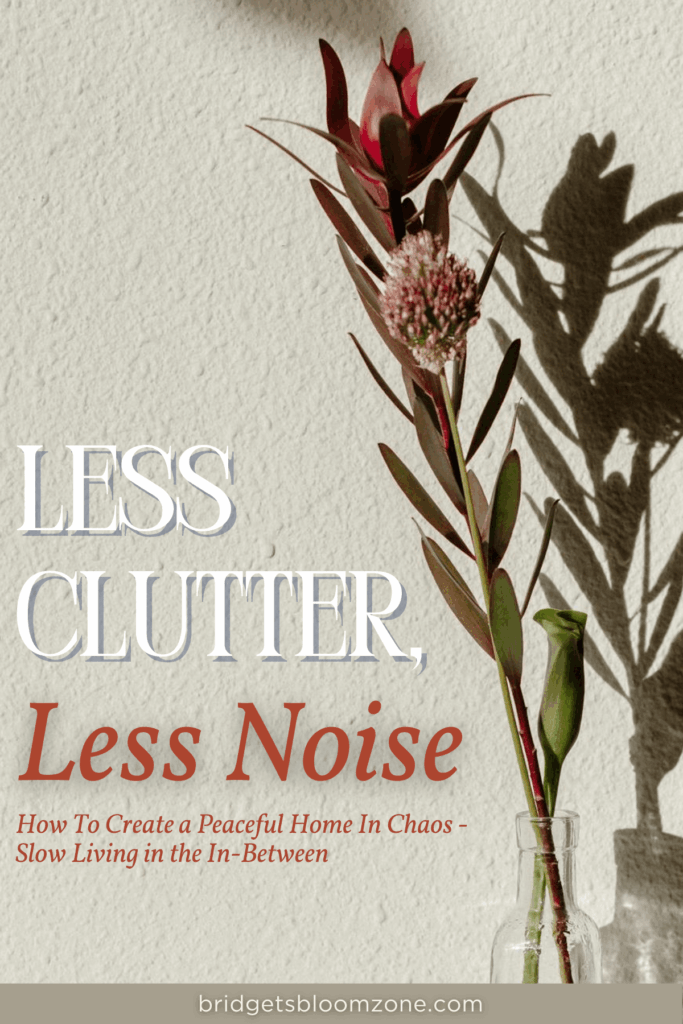 Single stem of a red and pink flower in a clear glass vase casting a soft shadow on a textured wall, symbolizing simplicity, calm, and minimalism in home decor. Text on the image shows: Less clutter, less noise. How to create a peaceful home in chaos - slow living in the in-between.