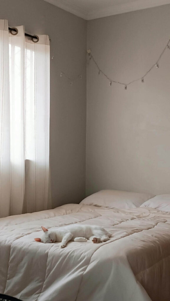 A white cat peacefully sleeping on a neatly made bed with soft, neutral bedding in a sunlit, minimalist bedroom, evoking calm and simplicity, a peaceful home.