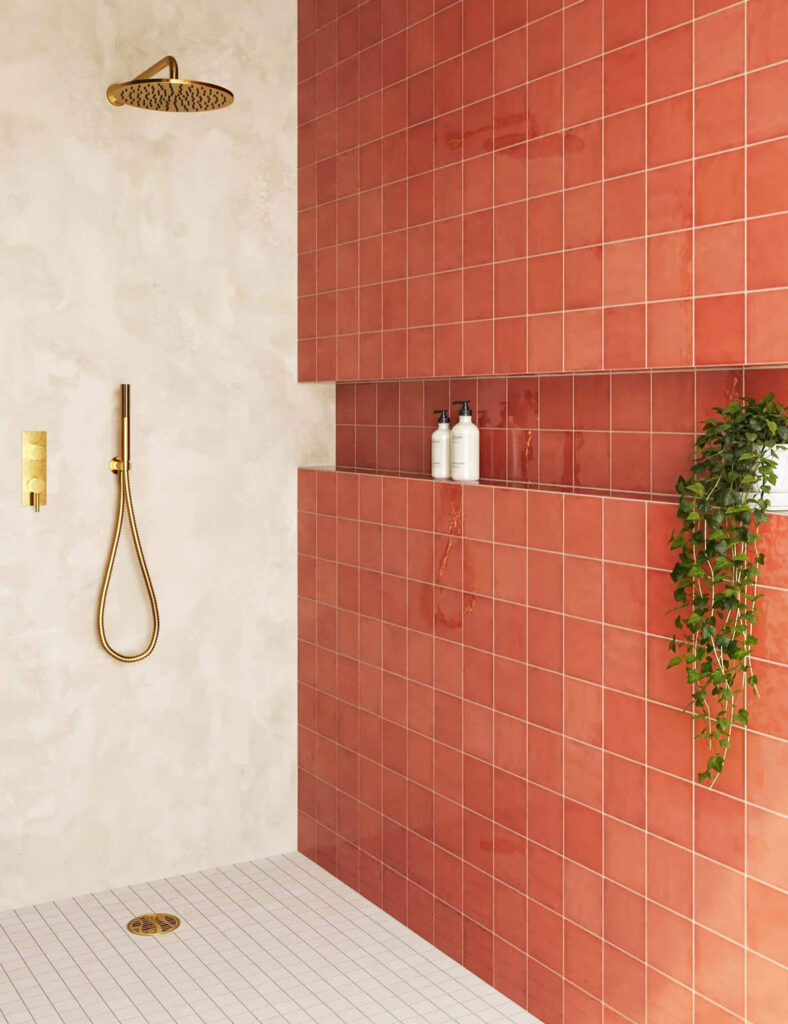 Large walk-in shower with red tiled wall featuring a horizontal built-in niche storing bottles and a trailing plant.