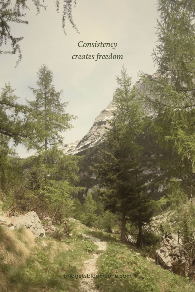 A gentle hiking trail winds through a sunlit evergreen forest towards snow-dusted mountain peaks, embodying life’s natural path toward personal improvement and growth. New habits for a healthy life roots in consistency - "Consistency creates freedom", is written on the image.