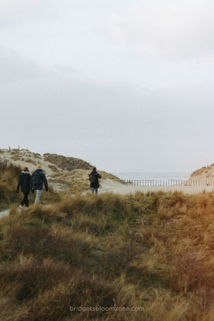 Three people walk along a sandy coastal path bordered by golden grass, evoking the journey of self discovery, consistent growth, and healing journaling.