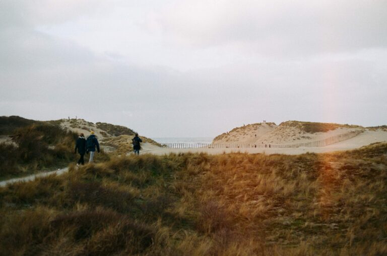 Three people walk along a sandy coastal path bordered by golden grass, evoking the journey of self discovery, consistent growth, and healing journaling. Life inspo: daily walk as one of the habits for a healthy life.